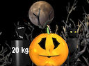 Halloween Pumpkin Weighin;