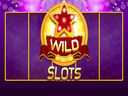 Wild Slot