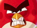 Angry Birds vs Pigs