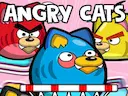 Angry Cats