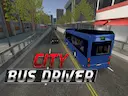 City Bus Driver Game