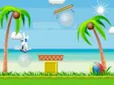Coconut Beach