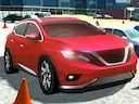 Driving Test Simulator