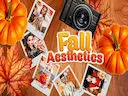 Fall Aesthetics