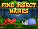 Find Insect Names