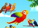 Flappy color birds