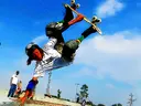Free Style Skateboarders