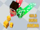 Gold Rush Arena