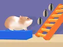 Hamster Stack Maze