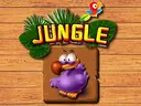 Jungle Matching