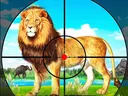 Animal Safari Hunting