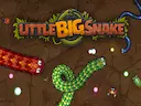 Little Big Snake
