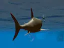 Megalodon Game