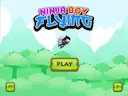 Ninja flying boy
