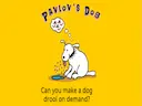 Pavlov s Dog game