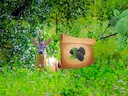 Return To Alsunga Forest