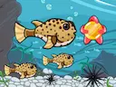 Run Fish Run