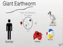 Scale of the Universe 2