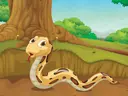 Scary Reptiles Coloring