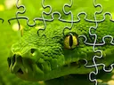 Snakes Jigsaw Puzzle