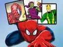 Spiderman Match Cards