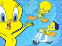 Tweety Bird