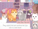 Wholesome Cats