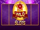 Wild Slot